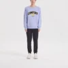 Pulover casual colorat din seria Brand Crew „Purple Yellow”